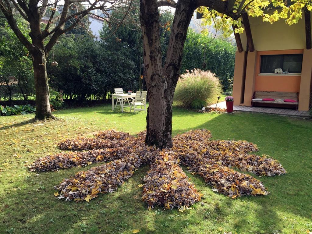 Casa Lo Bed & Breakfast Cesena Dış mekan fotoğraf