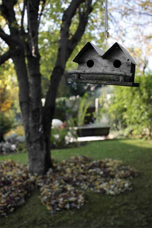 Casa Lo Bed & Breakfast Cesena Dış mekan fotoğraf