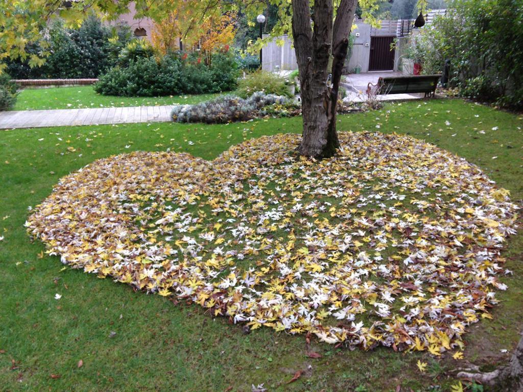 Casa Lo Bed & Breakfast Cesena Dış mekan fotoğraf