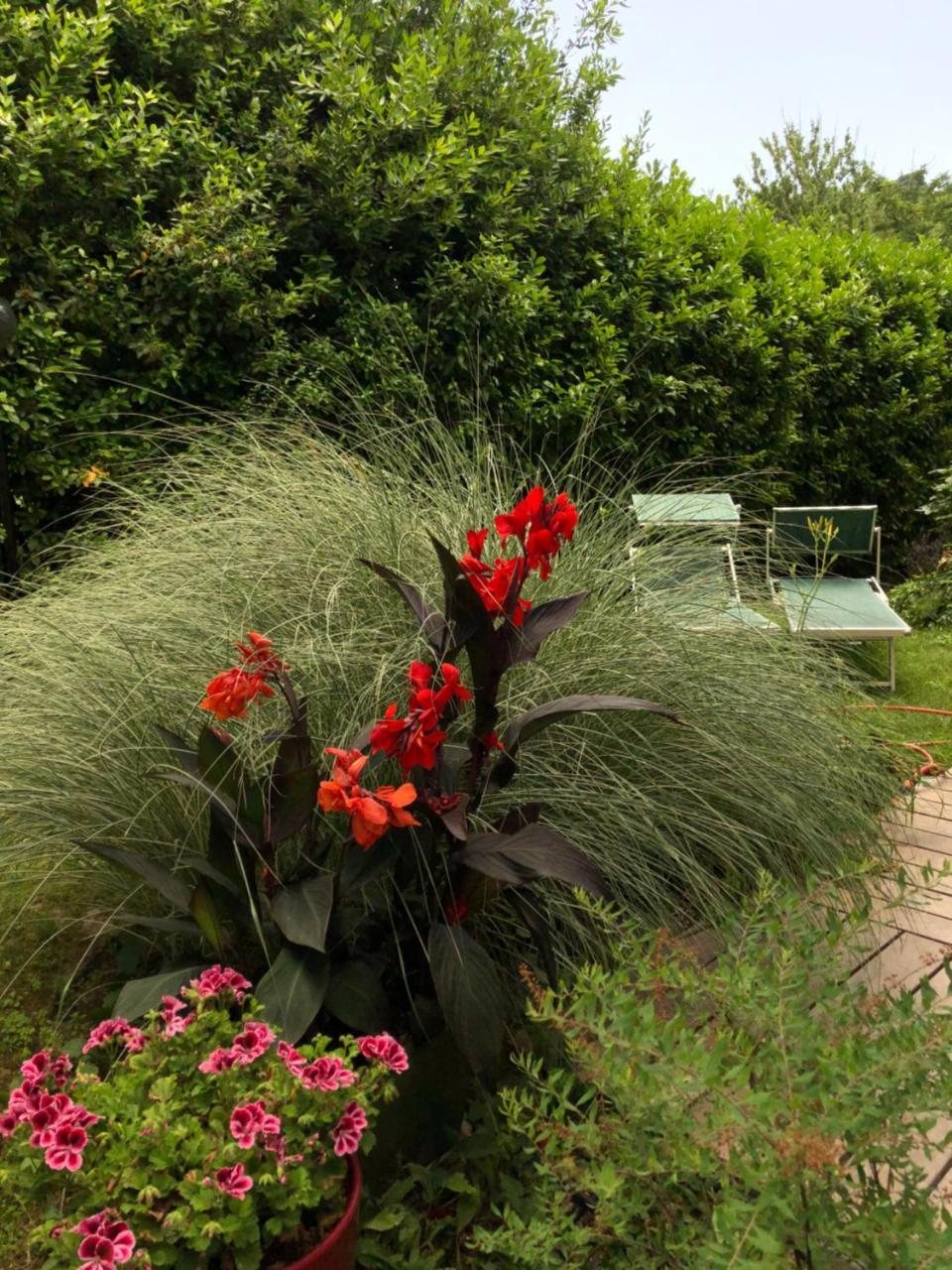 Casa Lo Bed & Breakfast Cesena Dış mekan fotoğraf